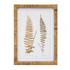Framed Fern Print (Set of 4) 17.75”SQ Wood/MDF/Glass