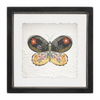 Butterfly Block (Set of 2) 6”SQ Wood/Acrylic