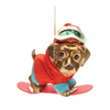 Snowboard Dog Ornament (Set of 6) 5"H, 5.5"H Glass