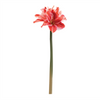 Amaryllis (Set of 6) 17.5”H Polyester
