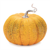 Pumpkin (Set of 2) 6"D x 4.75"H, 7"D x 6"H Styrofoam
