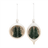 Ornament (Set of 6) 4.5"H, 5.5"H Glass