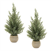 Potted Mini Pine Tree (Set of 2) 23”H Plastic