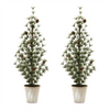 Potted Mini Tree (Set of 2) 31”H Plastic