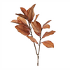Magnolia Leaf Spray (Set of 6) (Set of 6) 45”H Plastic