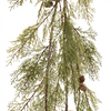 Pine Garland (Set of 2) 48”H Plastic