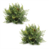 Cedar Half Orb (Set of 2) 11"D x 7.5"H Plastic