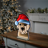 Dog w/Santa Hat Ekkolight 16.5”H Acrylic UL Plug