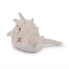 Shell (Set of 12) 2"H, 2.5"H, 3"H Resin