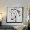 Framed Horse Canvas 24”SQ Canvas/Wood/Plastic