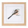 Framed Bird Print (Set of 8) 9.75”SQ MDF/Glass/Paper