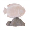 Fish on Rock (Set of 4) 5.75"L x 5.5"H, 6.5"L x 5.75"H Resin
