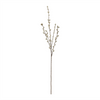Pussy Willow Stem (Set of 6) 30.5”H Plastic