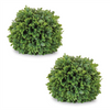 Boxwood Orb (Set of 2) 7.5”D Plastic