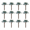 Succulent (Set of 12) 5”H Plastic