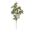 Fittonia Leaf Spray (Set of 4) 31”H Polyester