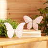 Butterfly (Set of 4) 5"H Resin/Metal