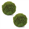 Moss Orb (Set of 2) 7”D Polyester/Plastic