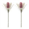 Protea Stem (Set of 2) 28”H Plastic
