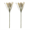 Protea Stem (Set of 2) 28”H Plastic