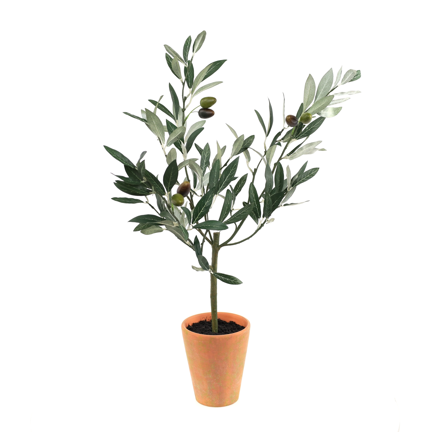 Olive Topiary in Pot 22”H Polyester/Terra Cotta