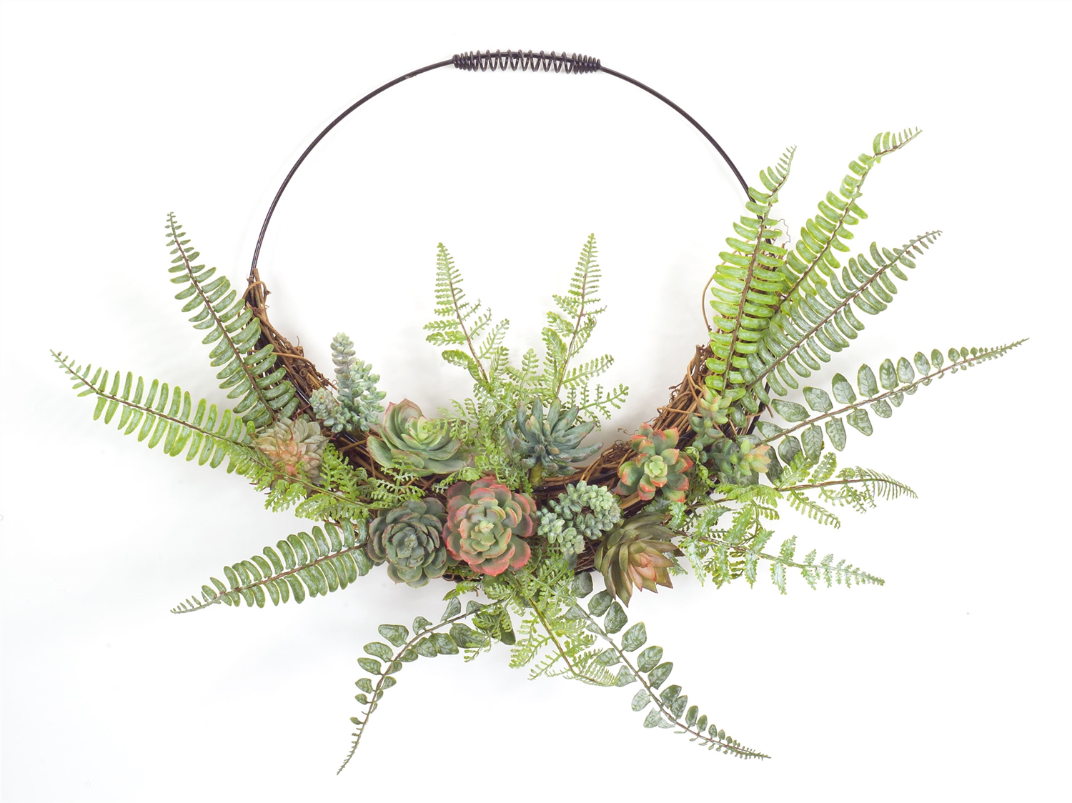 Fern and Succulent Wall Décor 24.5" x 19.25"H Plastic/Wire