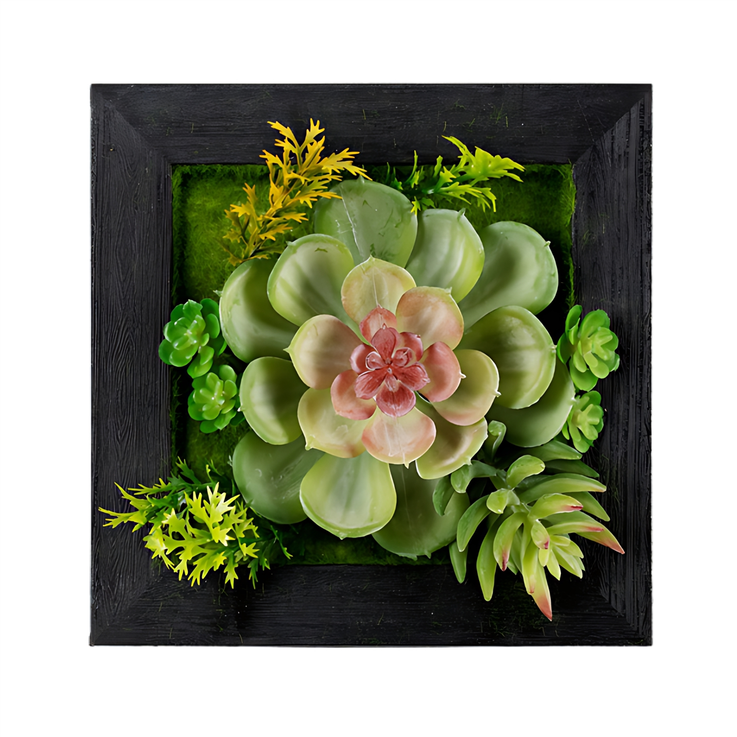Hanging Succulent Wall Décor (Set of 6) Plastic