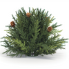 Arborvitae Half Orb 8.5”D Plastic