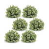 Boxwood Half Orb (Set of 6) 7"D Plastic