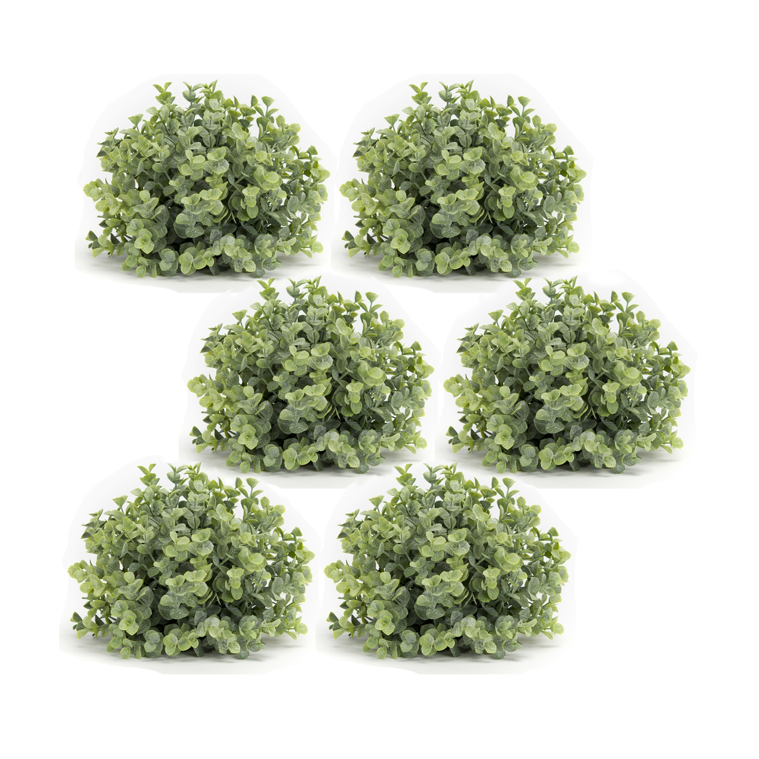 Boxwood Half Orb (Set of 6) 7"D Plastic