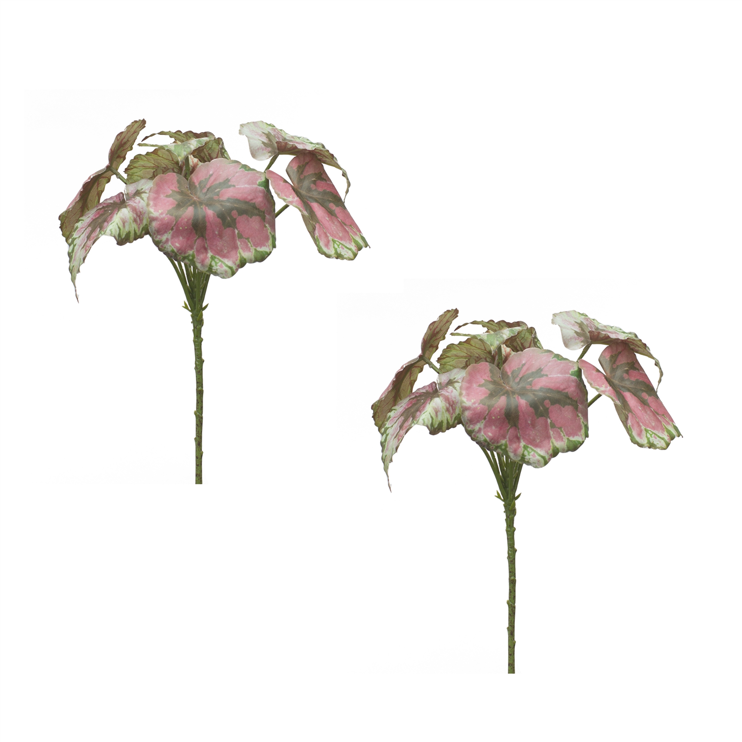 Begonia Leaf (Set of 2) 11.5”H Polyester