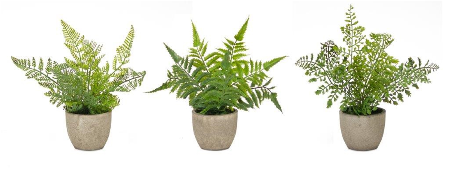 Potted Fern (Set of 3) 9.5”H Plastic