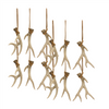 Antler (Set of 12) 5”H Resin