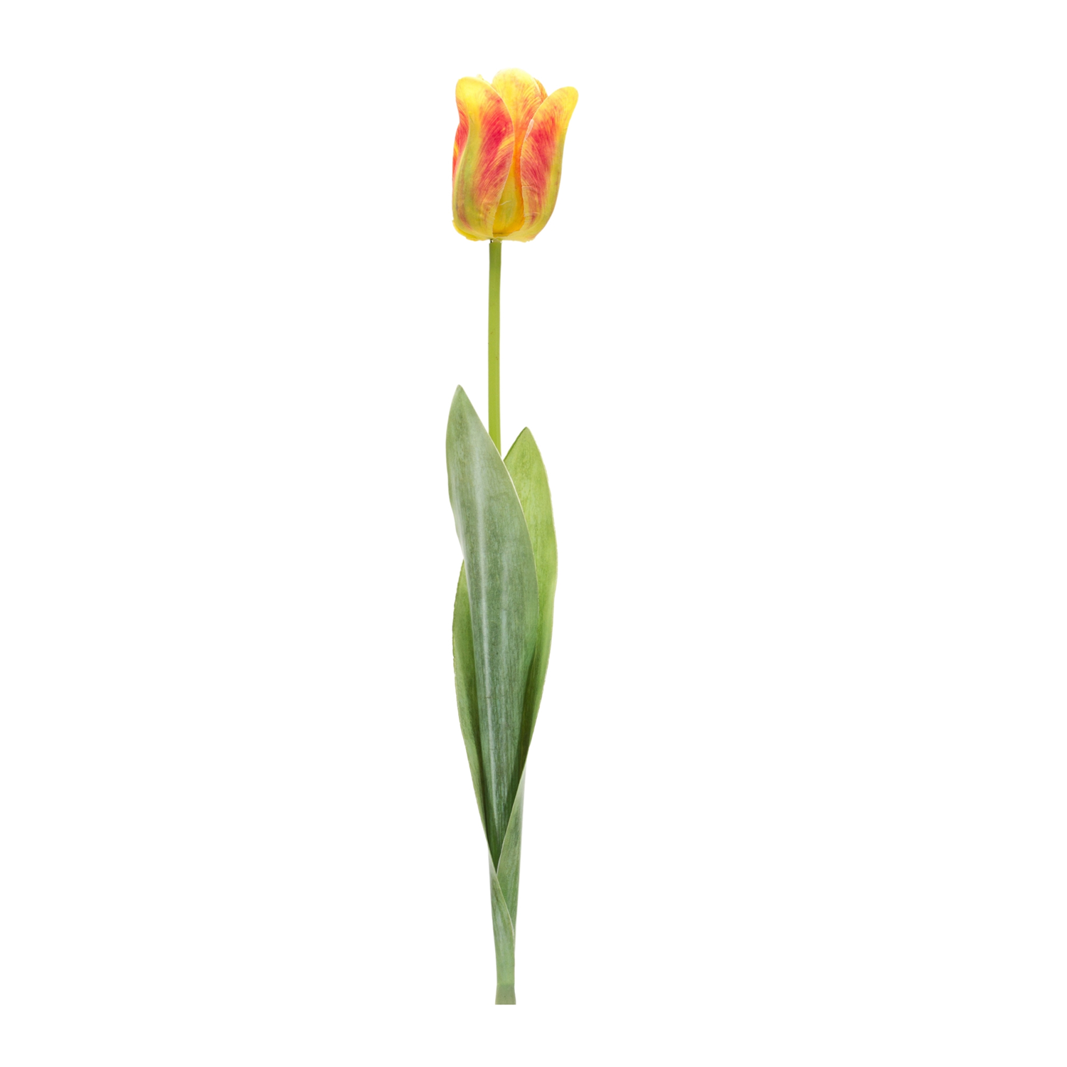 Tulip Stem (Set of 6) 27”H Polyester/Plastic