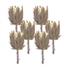 Protea Stem (Set of 6) 20”H Plastic