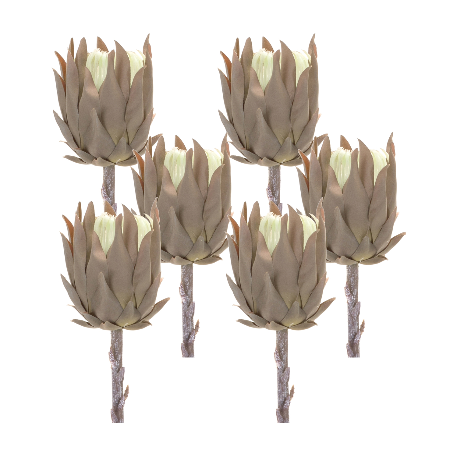 Protea Stem (Set of 6) 20”H Plastic