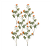Protea Stem (Set of 6) 34.25”H Plastic/Flocking