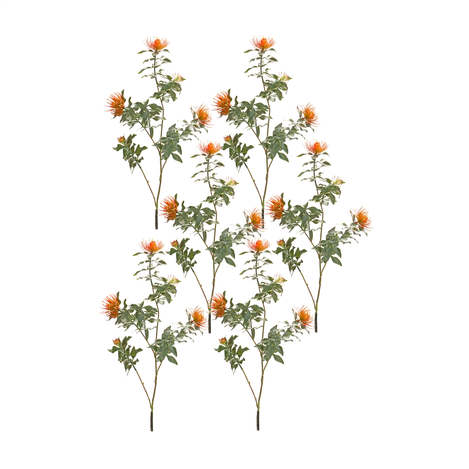 Protea Stem (Set of 6) 34.25”H Plastic/Flocking