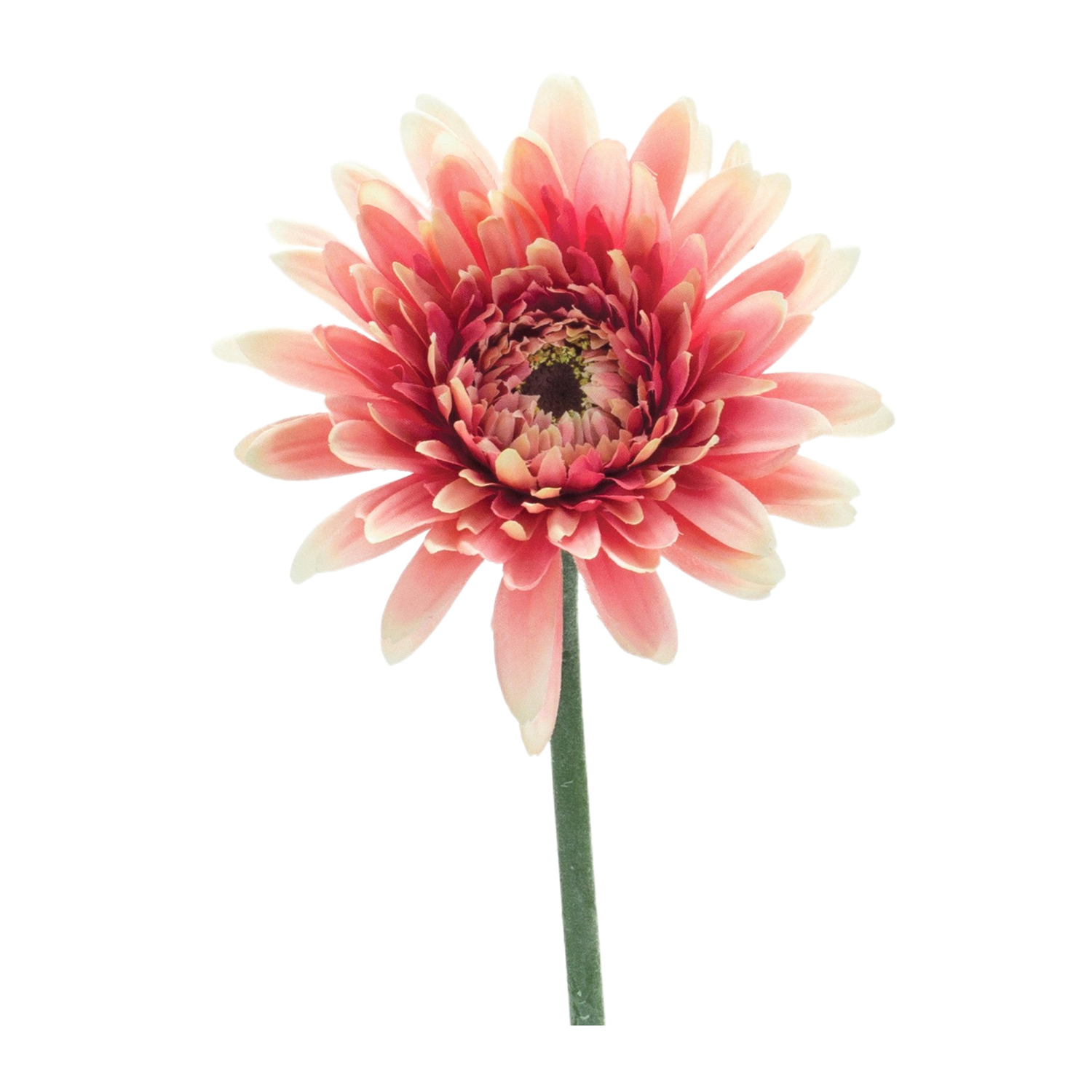 Gerbera Daisy Stem (Set of 6) 22”H Polyester