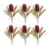 Banksia Stem (Set of 6) 24”H Plastic