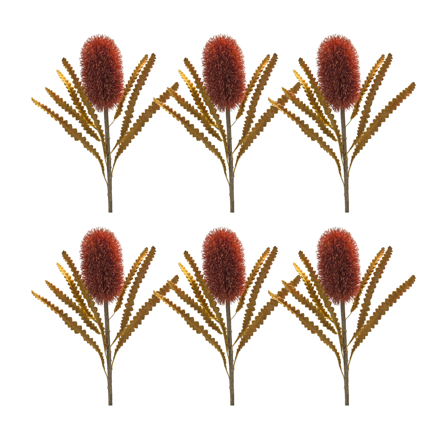 Banksia Stem (Set of 6) 24”H Plastic