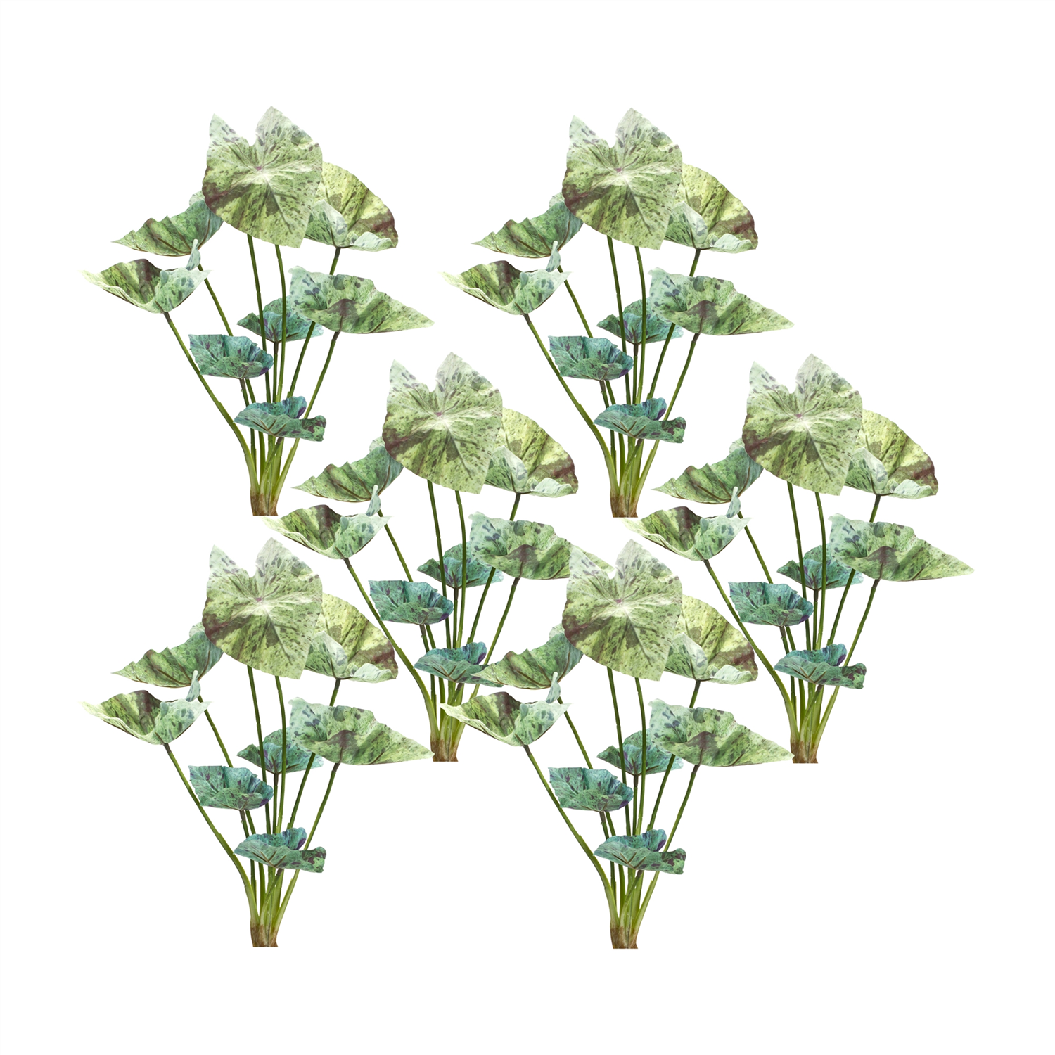 Caladium Bush (Set of 6) 18.5”H Polyester