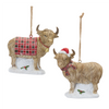 Highland Cow Ornament (Set of 6) 4.25”H Resin