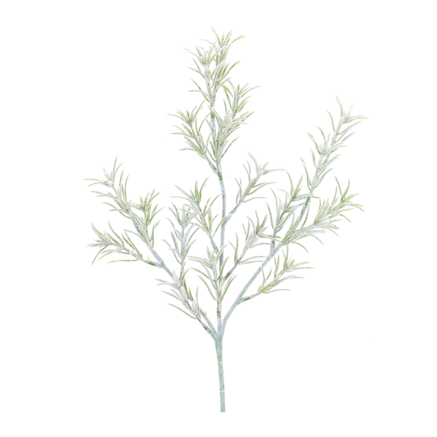 Rosemary Spray (Set of 6) 20.5”H Plastic