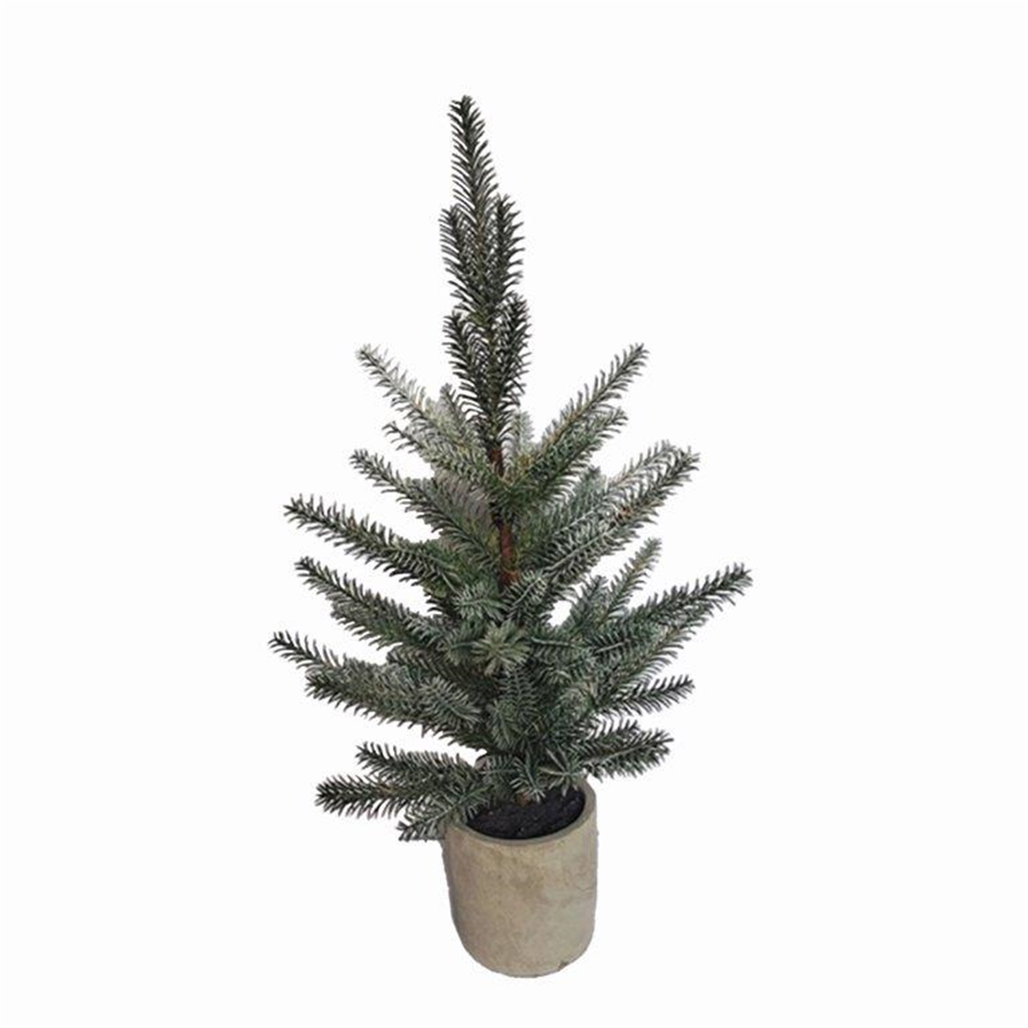 Potted Pine Tree (Set of 2) 24”H Plastic