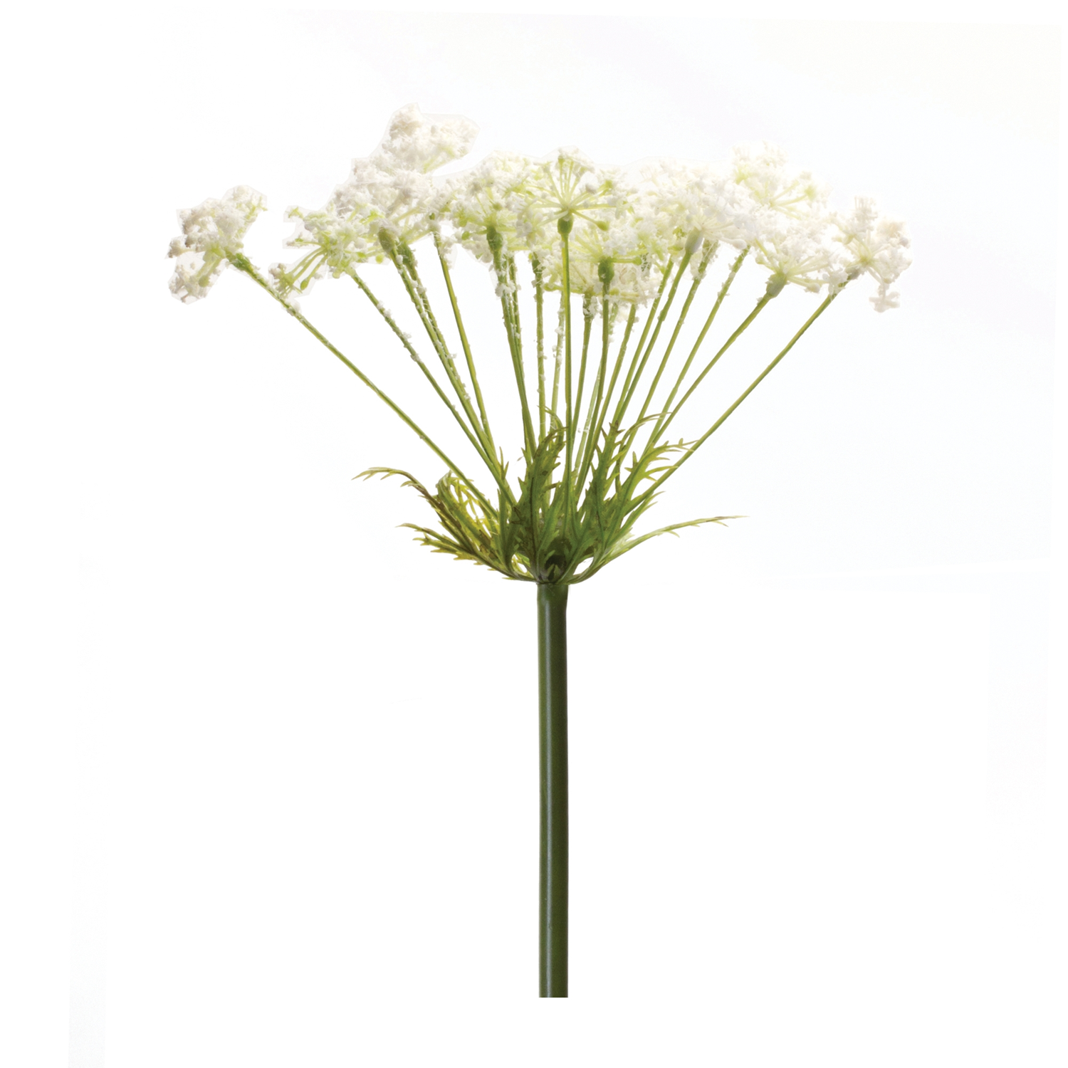Queen Anne's Lace Stem (Set of 2) 29”H Plastic
