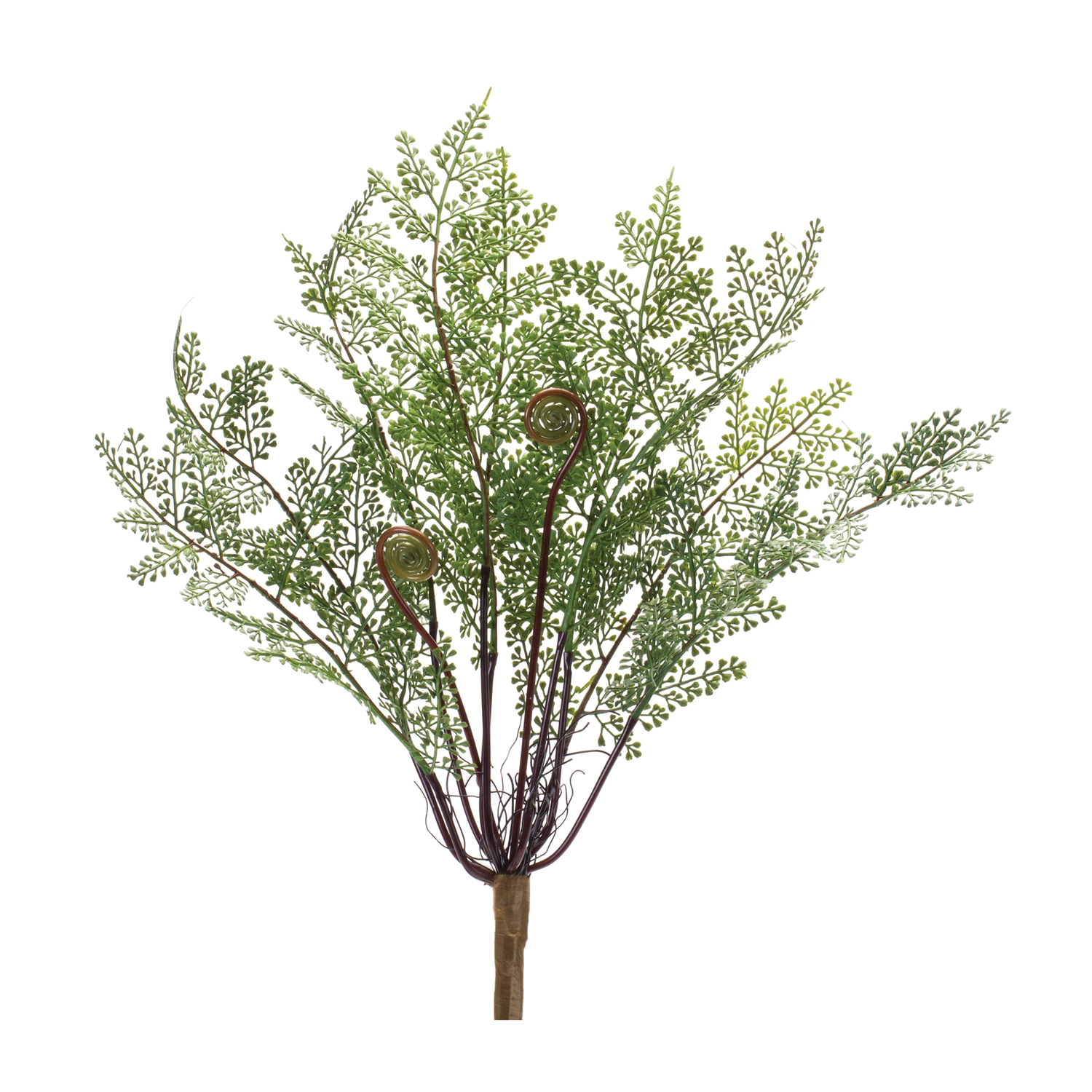 Fern Bush (Set of 2) 13”H Plastic