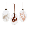 Ornament (Set of 12) 5.5”H Glass