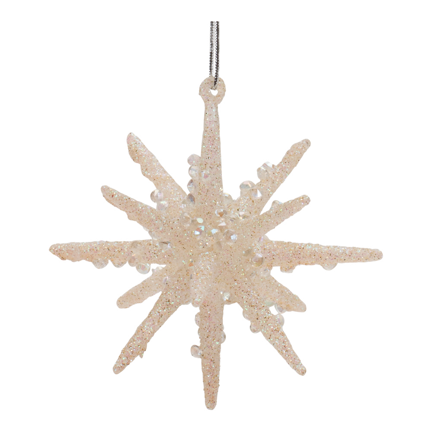 Star Ornament (Set of 6) 3”H Glass