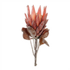 Protea Stem (Set of 2) 29”H Polyester